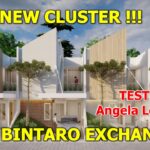 TESTIMONI ANGELA LORENZA : AEERA BINTARO BY SRIMAYA LAND
